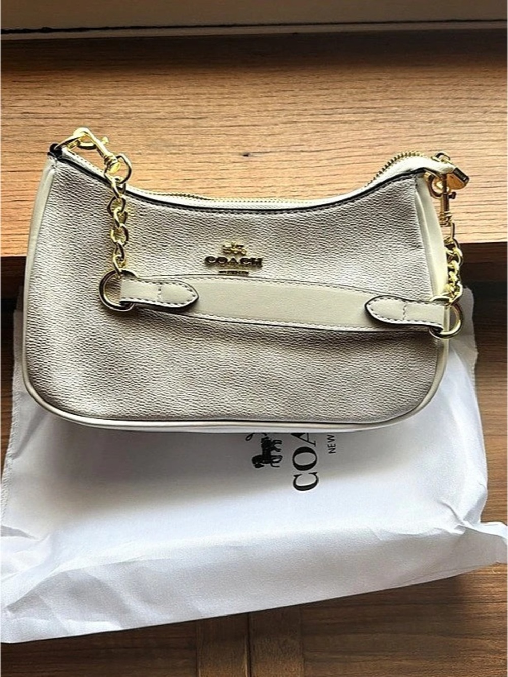 Coach Teri Shoulder Bag in Signature Canvas White